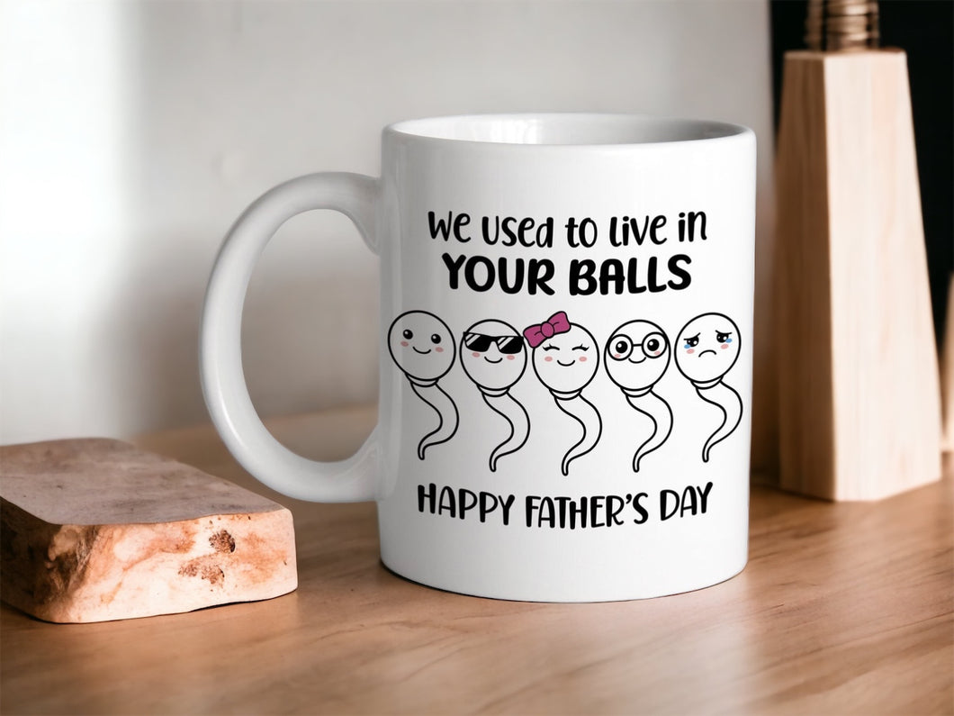 In Your Balls Came Out Of Yours Mug, Dad Birthday Gift, Personalized Fathers Day Mug, Funny Father's Day Gifts, Funny Gifts For Dad, Dad Mug