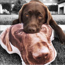 Load image into Gallery viewer, Personalized Photo Shaped Pillow
