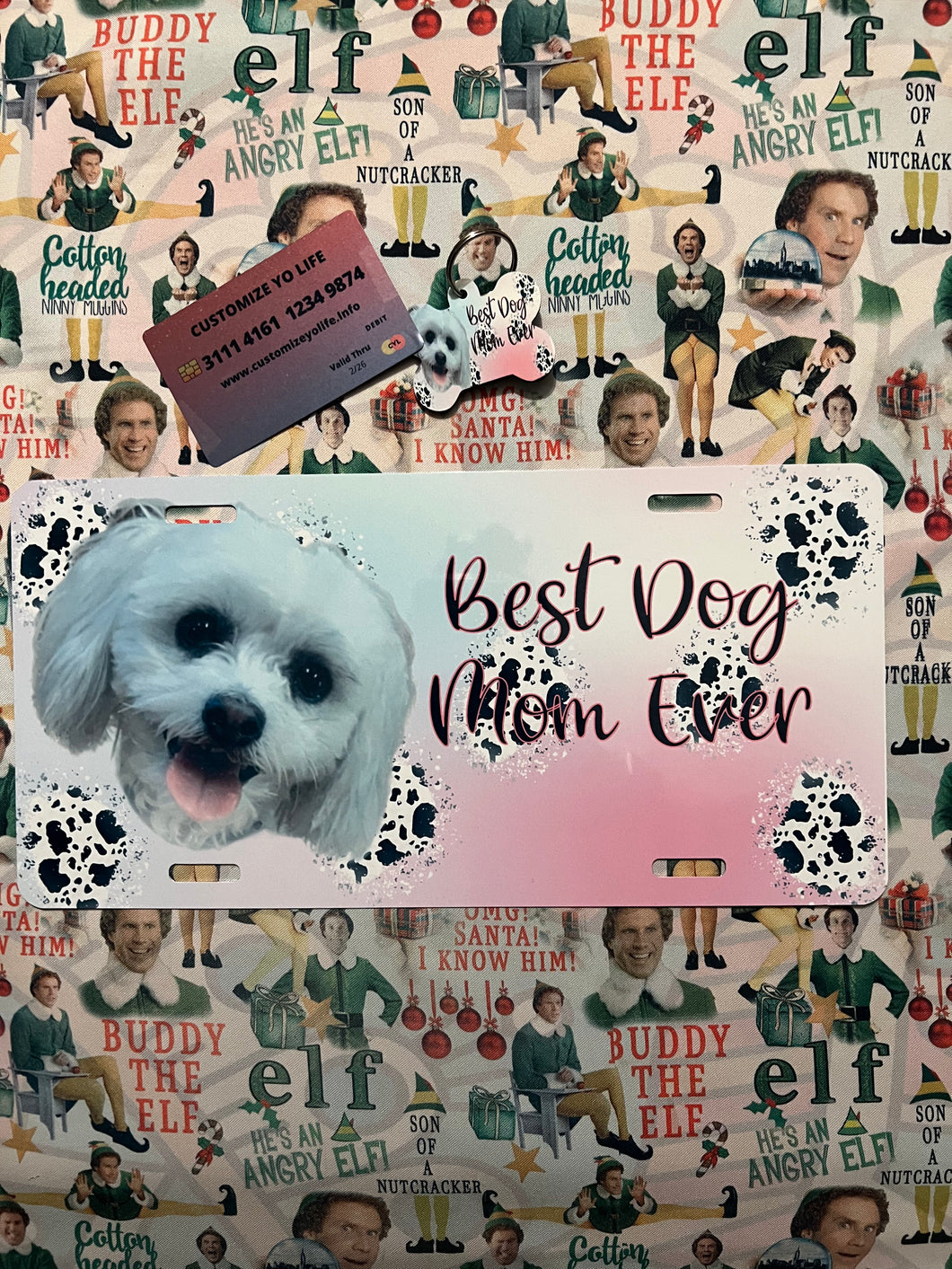 Custom license Put Your Picture On The License Plate